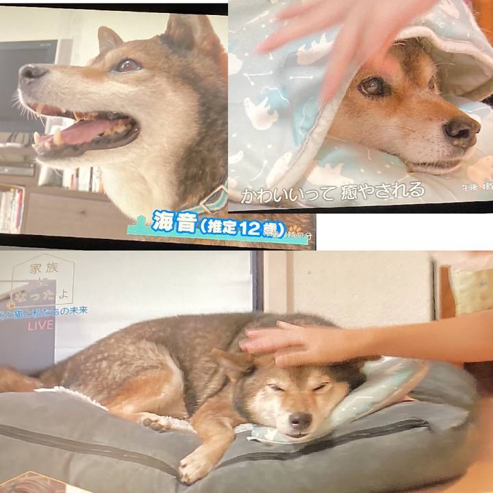 0c019997 a9ad 46c4 9b60 6e5bab1b9d22 1633224530800