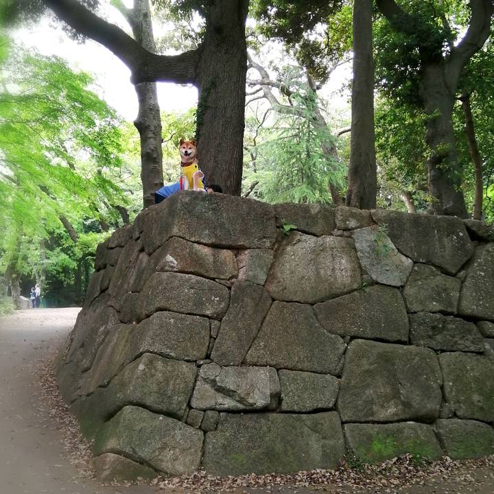 0c01b822 e504 4583 b5ad 166d7851b9e4 1653048907646