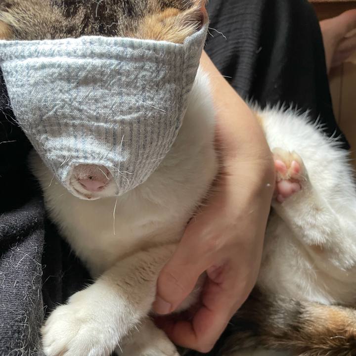 0c01d456 1840 40ba 91db 5b2ef697212d 1721399645745