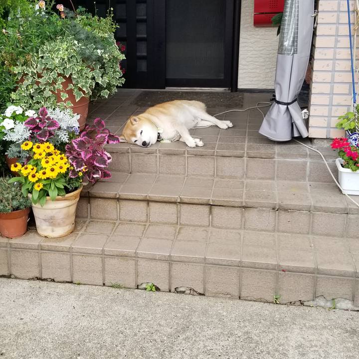 0c01eb19 c32b 4159 bd89 6e1721c23759 1657849732461