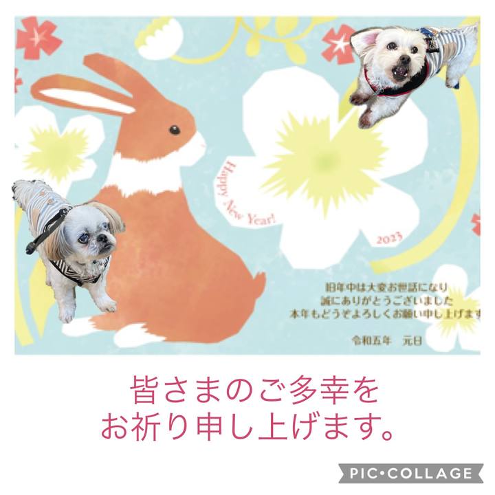 0c02111a d4bc 45fc b1e0 adb5d62ba65a 1672536406146