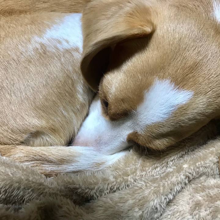 0c0215f6 244c 4c71 b554 b0be0e5fc11e 1563630388743