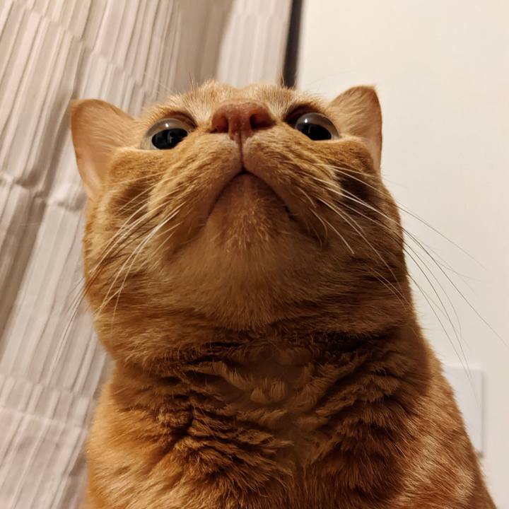 0c0225f2 9c30 4ebf 8683 099bf2dde77b 1667827775635