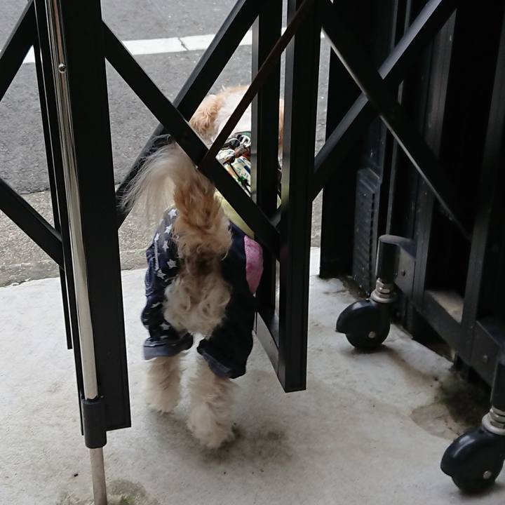 0c024870 bb78 44da 9dd0 a8a496472c57 1533520780172