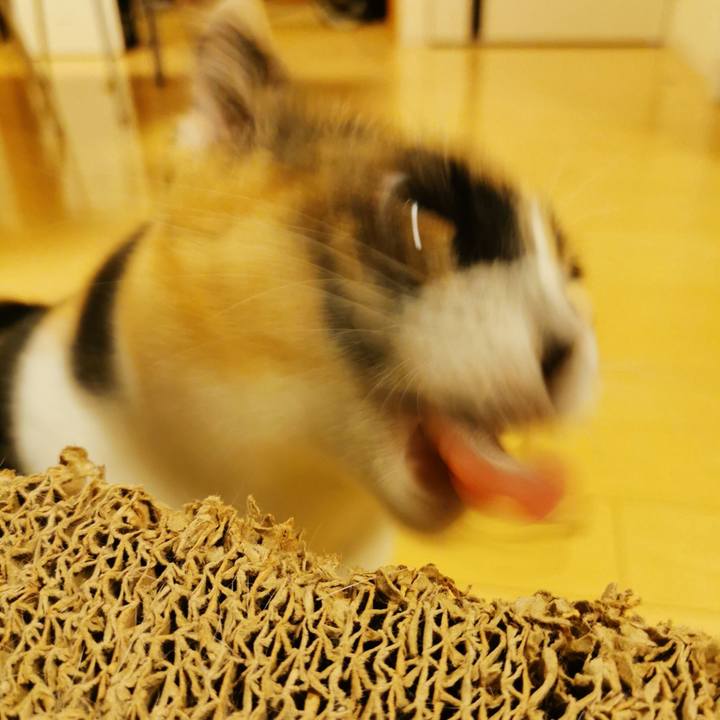 0c02eb4b d5d4 43f0 afcd ad54c84a841e 1677815899571