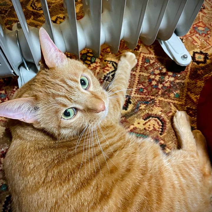 0c032d9e 98c2 415c 8499 3cd5cfbcb26d 1670235473166