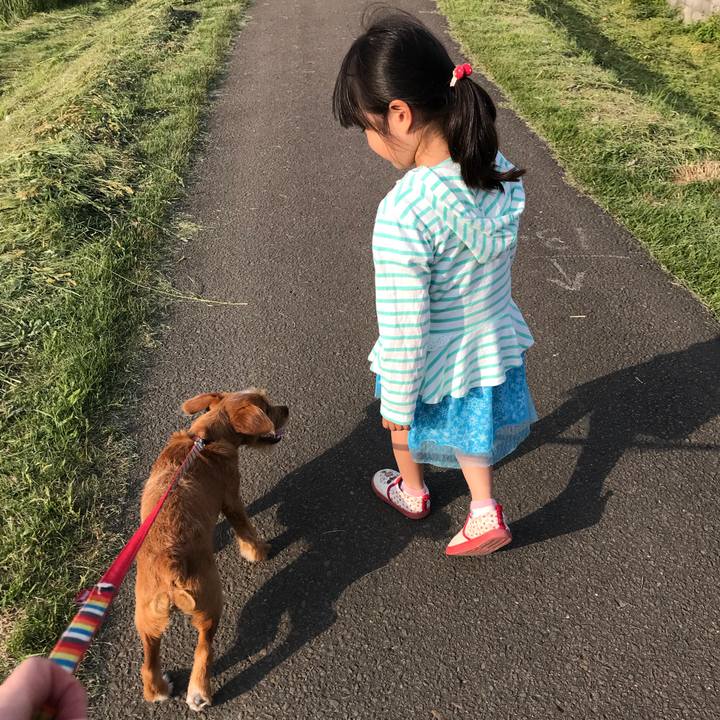 0c0333b0 cf9b 44fc af87 44e99cb222c2 1527409520873