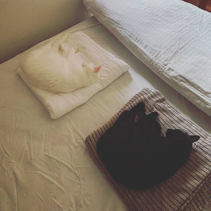 0c033896 32c2 49e8 bbba e6bd3dc2a903 1656384457936