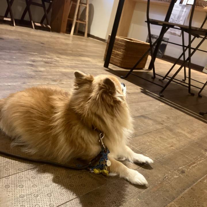 0c039318 48ac 4718 aae4 241e2a50eff2 1760053357417