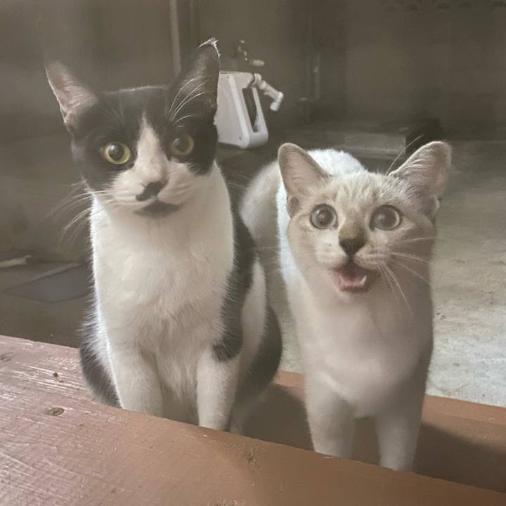 0c03c5f1 bd43 49d4 b7ae 22a88daa46a1 1664799533471