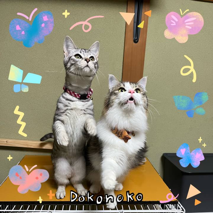 0c03cc83 c601 41ce bdd3 ede11cc42781 1711241618024