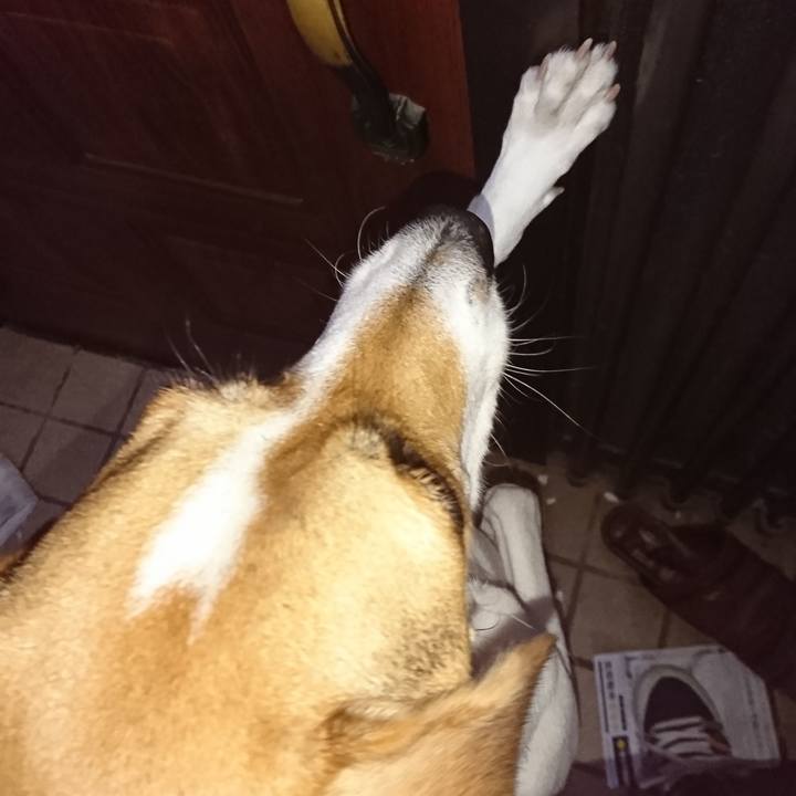 0c03d30d d22a 4c28 9c69 b5323808bdf0 1573011630287