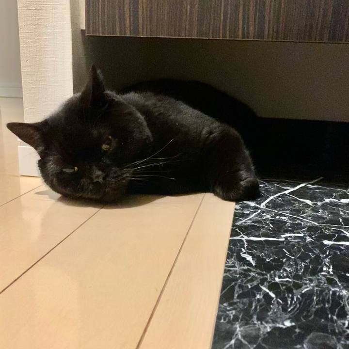 0c03f92e fa28 4613 b629 dc12ffa341c1 1749559999610