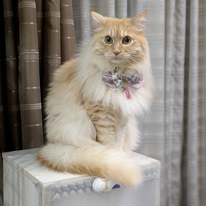 0c041849 8fcb 4ede a5c7 f41edce62b24 1751367539139