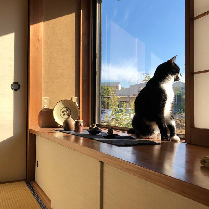 0c04377b 86b2 4f2b 9a92 033d0c12b9f2 1534630700817