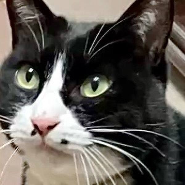 0c044d19 4a06 4902 9163 e8eb7d28200e 1734314995857