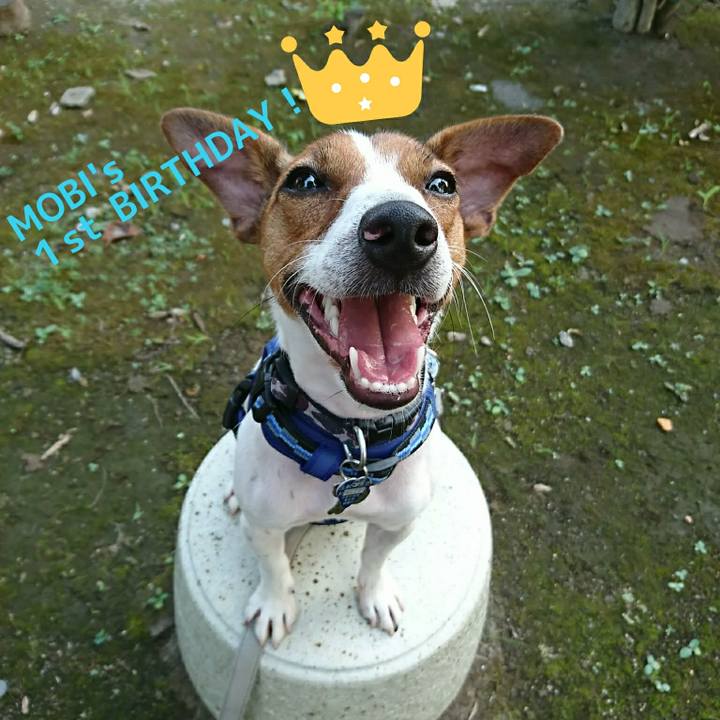 0c0457f1 c55c 48d6 9ac8 65918bdd5d7f 1533255161658