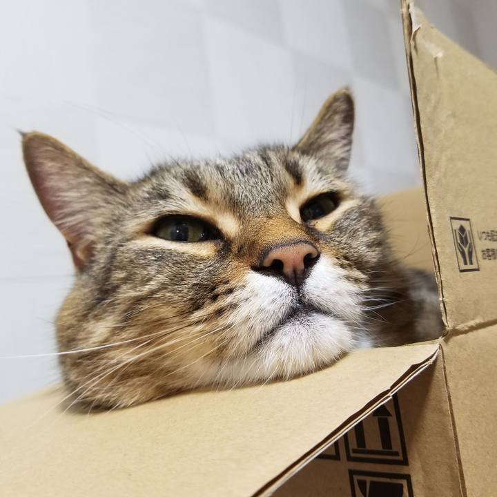 0c047a53 c729 4262 811e a9b668302ad6 1621335643304