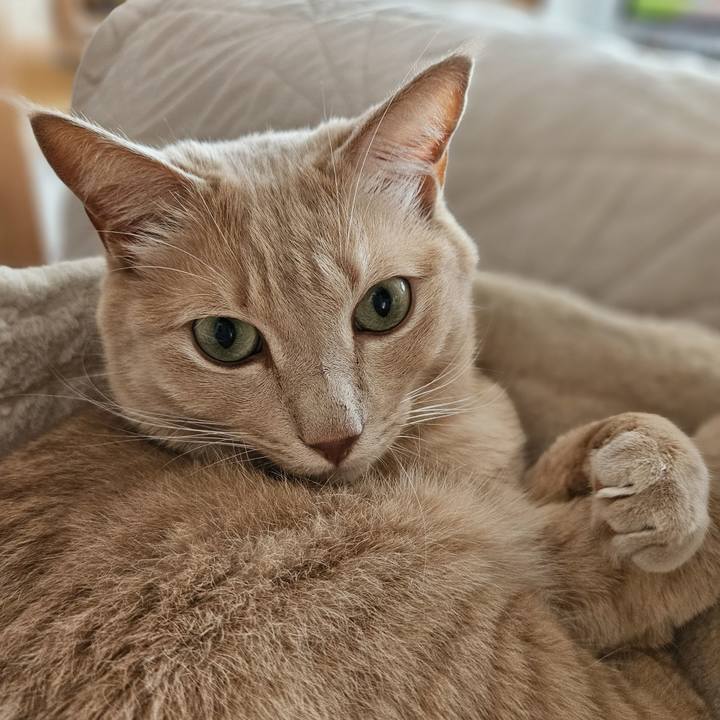 0c04d8bd 0921 45fc 8fef 64bef8c2a261 1694236372712