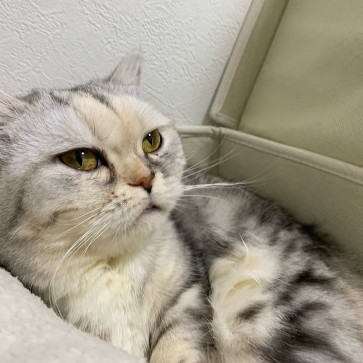 0c04e379 3543 4390 8ac9 9a8db48f8766 1710332869986