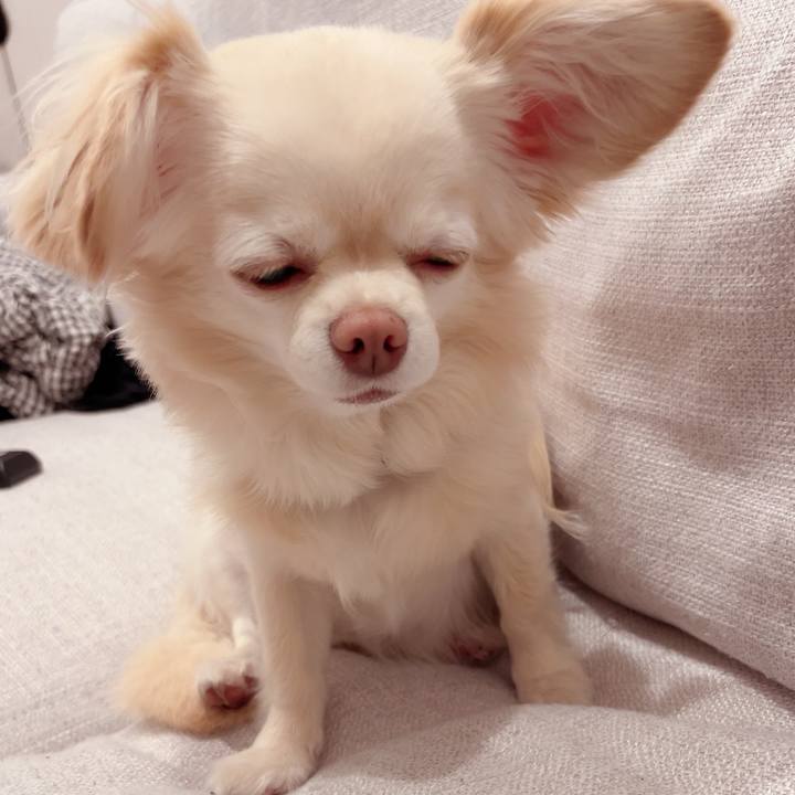 0c04ff29 3ecb 4a17 ae19 e8c7fcd43594 1716718394380