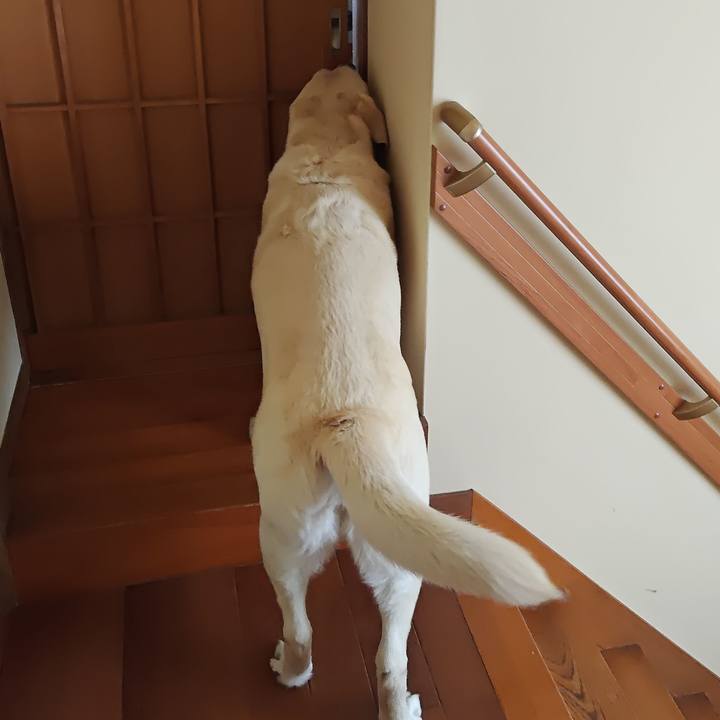 0c051870 f811 464f 90e5 079003a47591 1747959633401