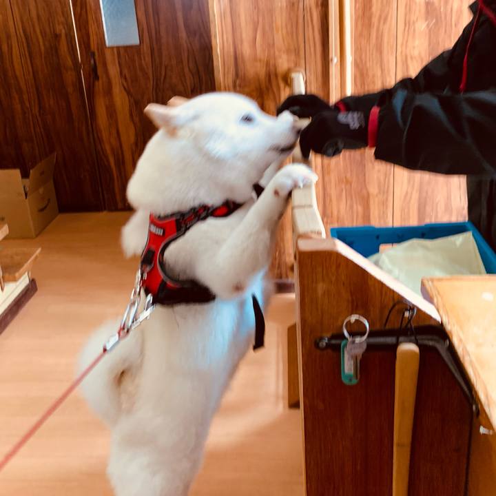 0c056828 4817 4e6b bf59 31b3918fa940 1615172193564