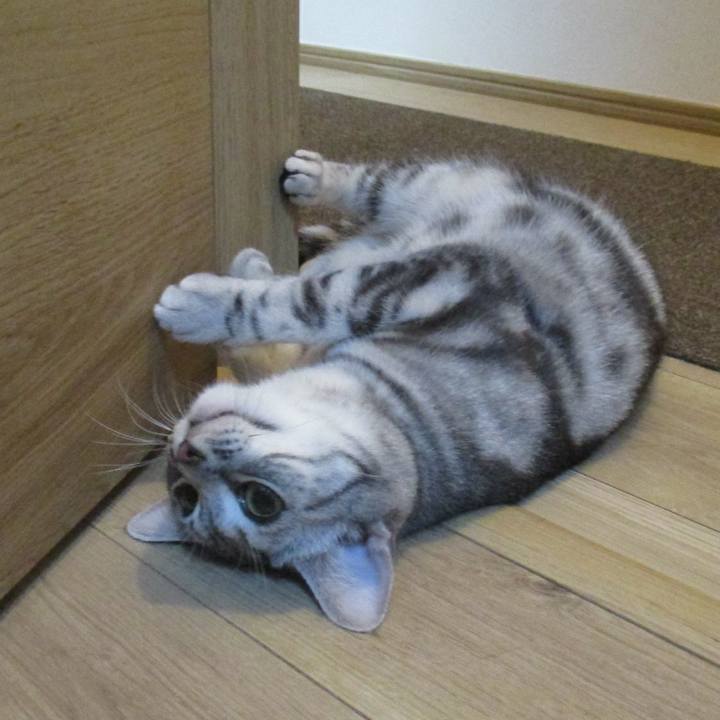 0c05c370 f6f2 413b bd20 e54fff2c80e0 1560336518690