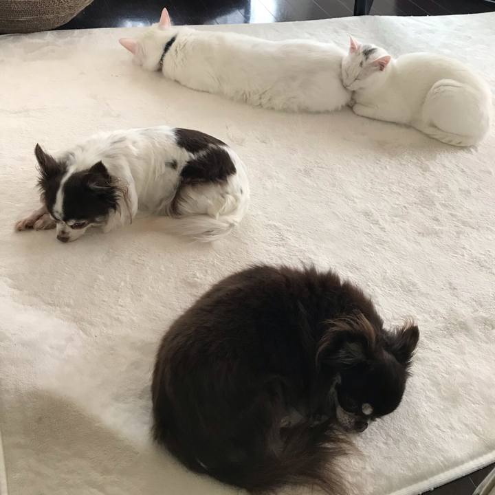 0c05cc43 c313 490b 832a eb2d16c315f0 1580081667132