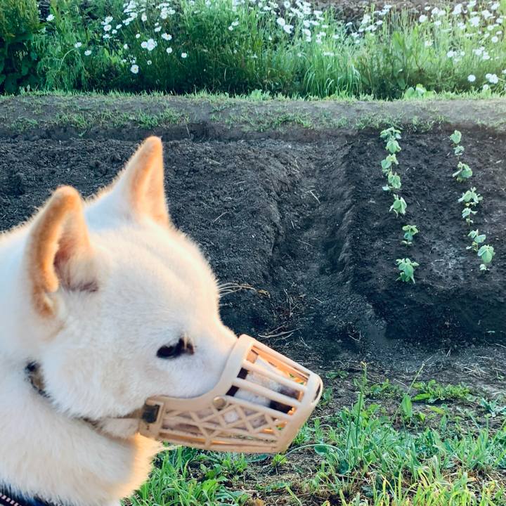 0c05ea44 c601 4d8a 8abb 574822a1ebac 1623616896135