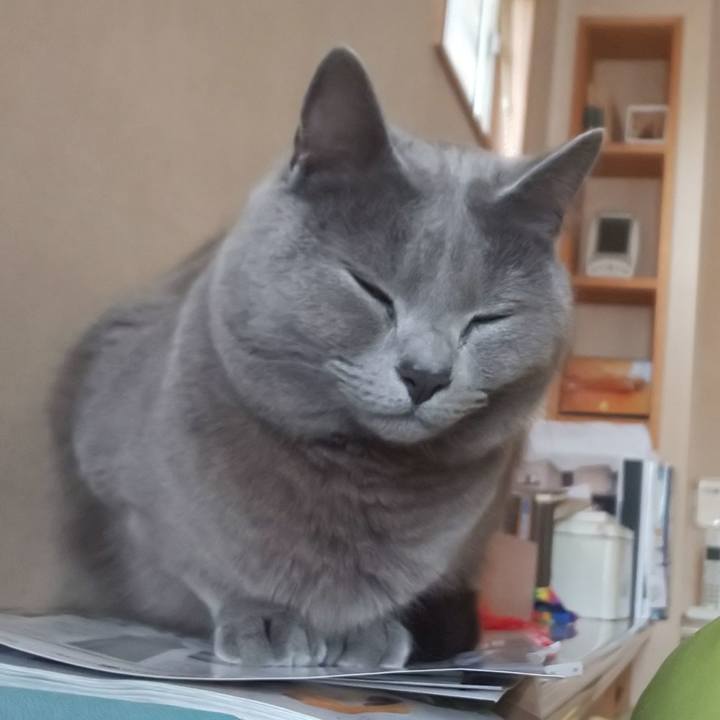 0c060de0 a2e5 4b77 bfc5 08b2e3320ae8 1557205736716