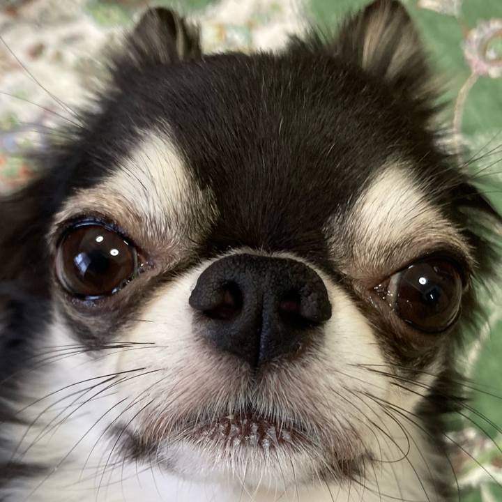 0c062c9c 20ec 4f39 9fa8 960bc6a899a5 1660516137626