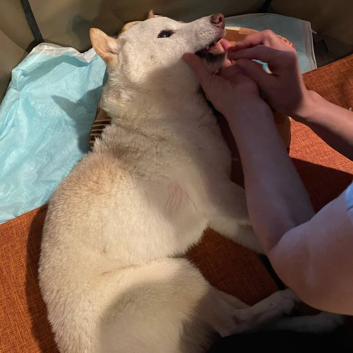 0c067c2c 1a42 4556 8fc1 17ba30b18391 1663488080357