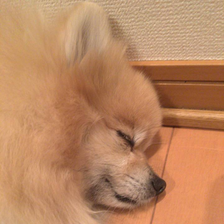 0c06d830 5b26 471c ae85 961bfc9517b0 1543712322408