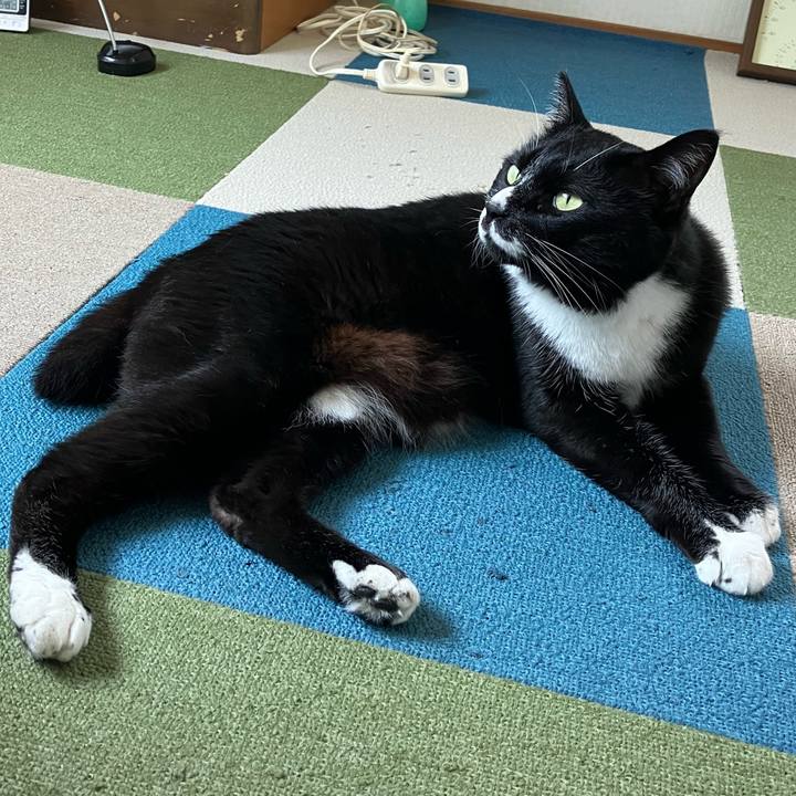 0c06ee25 753b 4649 b489 cd7341a907ae 1755061962578