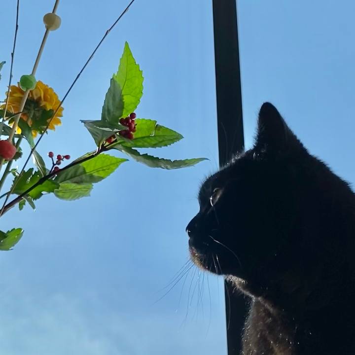 0c06ff72 6978 481e 80ac 2f39a8412dab 1641008704042