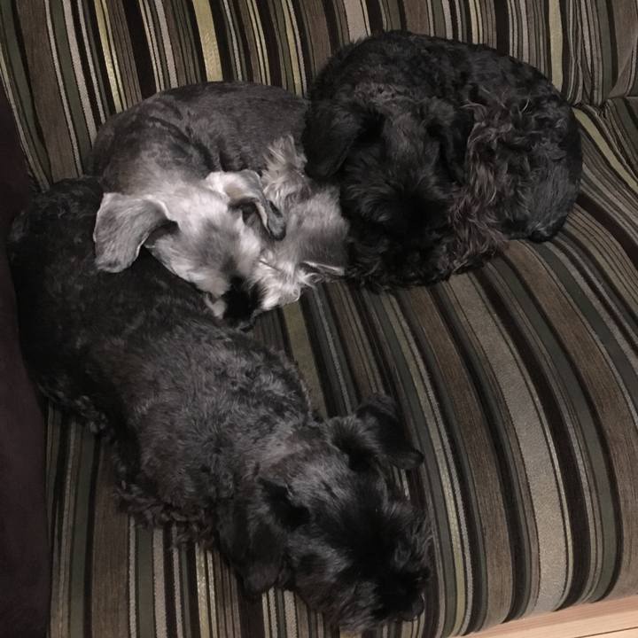 0c07461f 69eb 4f47 9b35 ef102cfce04a 1521626633218