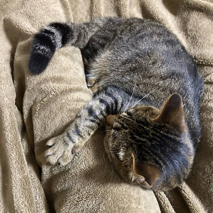 0c07556a a774 4f88 b06c f57b67732898 1591709668619