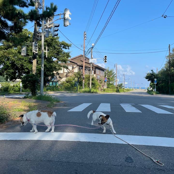 0c079e77 916b 44db afe9 0e35d18a728f 1630192065402