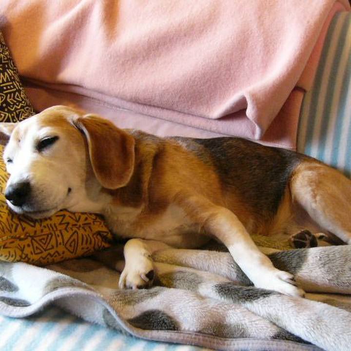 0c07bd69 7132 4010 80fb e38b610fd171 1660869665164