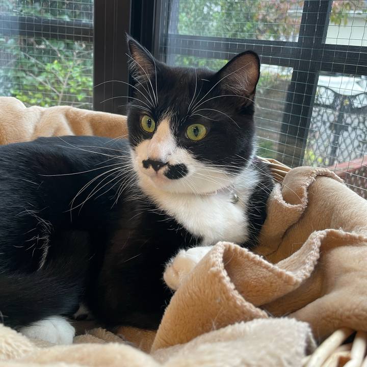 0c07cac2 a12c 4200 953b 14a95611aa6a 1665958663930