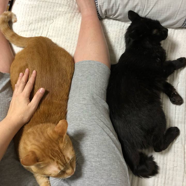 0c081961 3e91 495c 82d9 80dbeae164a1 1602067727485