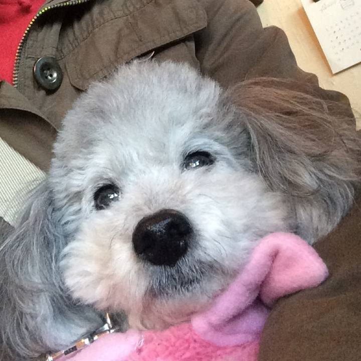 0c081f08 9836 43e9 b30e ce60b07e3e40 1737459362088