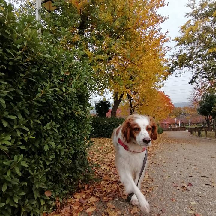 0c084409 5f71 4259 b7a7 fa75378b9b26 1574854371010