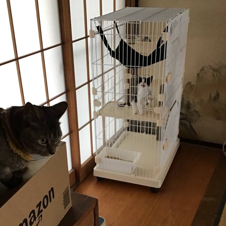 0c085160 4cb7 479f 9388 fbca490c1e3b 1623796885551