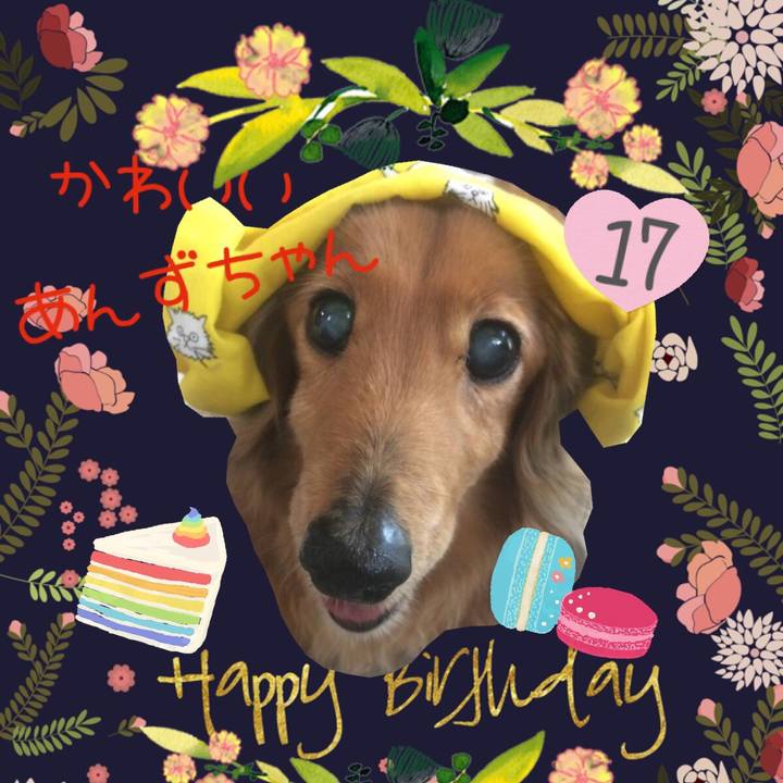 0c085da5 f81a 427f b1bc c392c3483a60 1544834097418