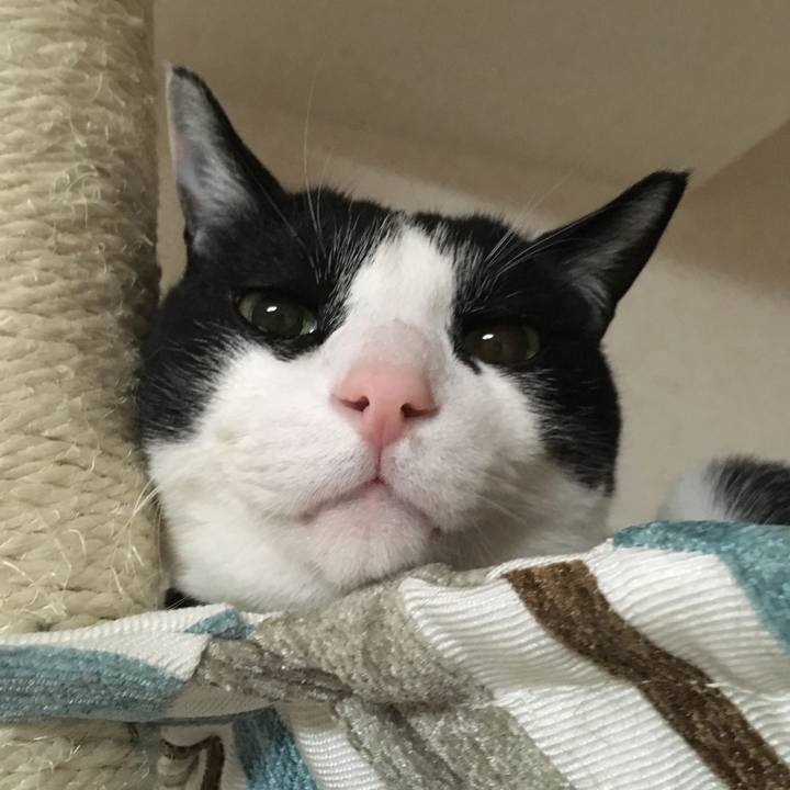 0c08995d b0d7 49fd a787 7f732b118fff 1516185168394