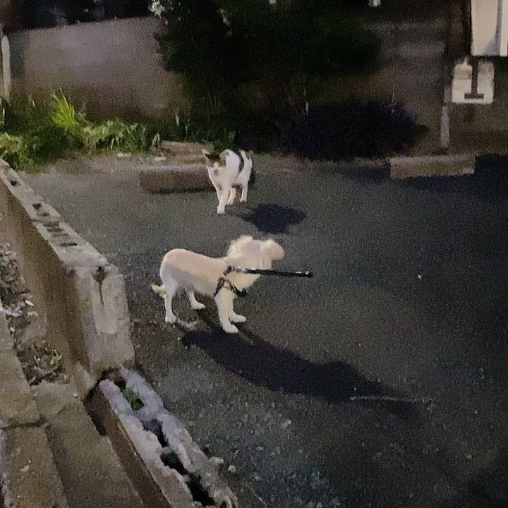 0c08b8f0 3643 4c2a 98c0 3da00cb803ff 1596710783212