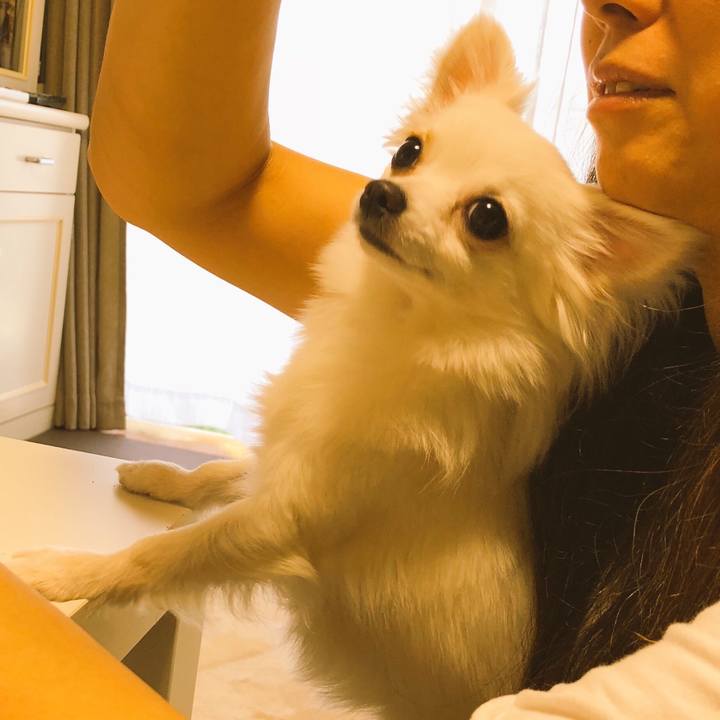 0c08cd20 f4e1 442c 8da9 97b640ff737c 1524326168943