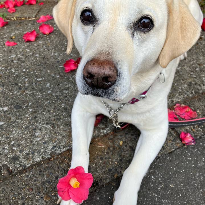 0c08e40c e30d 4d02 9a78 d1cf2b237763 1679012944531